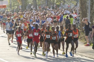 Édition 2012